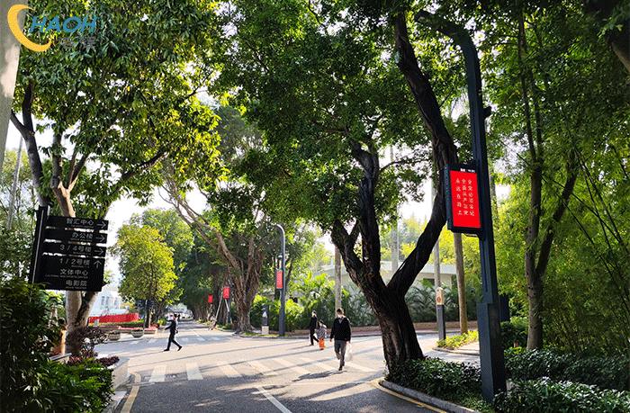 当智慧灯杆屏以“小创新”助力商业宣传质效提升